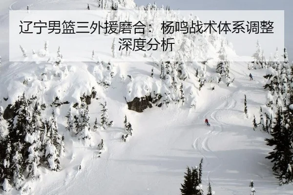 辽宁男篮三外援磨合：杨鸣战术体系调整深度分析