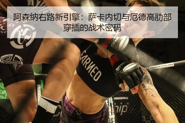 a-sen-na-you-lu-xin-yin-qing-sa-ka-nei-qie-yu-e-de-gao-le-bu-chuan-cha-de-zhan-shu-mi-ma-2-409.jpg